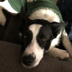 Meet your Posher, Jason